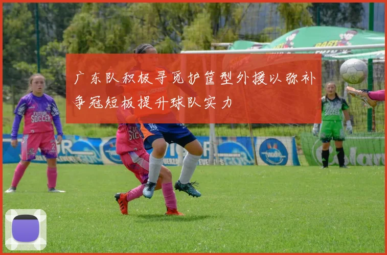 广东队积极寻觅护筐型外援以弥补争冠短板提升球队实力