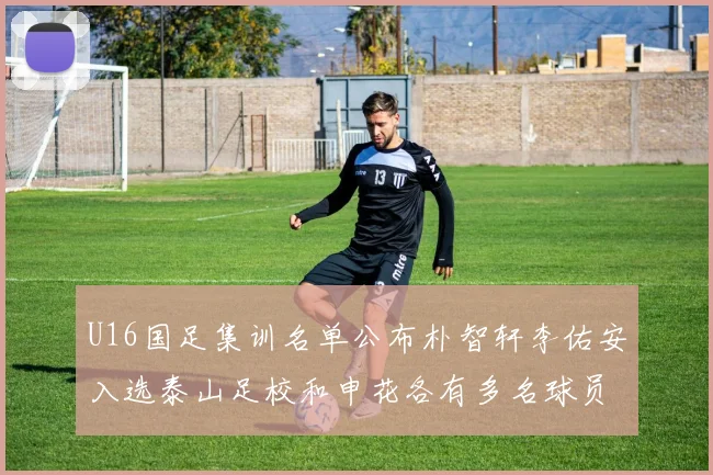 U16国足集训名单公布朴智轩李佑安入选泰山足校和申花各有多名球员参与