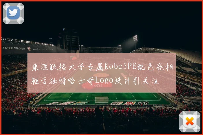 康涅狄格大学专属Kobe5PE配色亮相鞋舌独特哈士奇Logo设计引关注